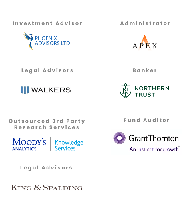 Litigation Fund Top Providers